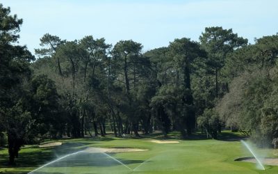 nuevo sistema de riego